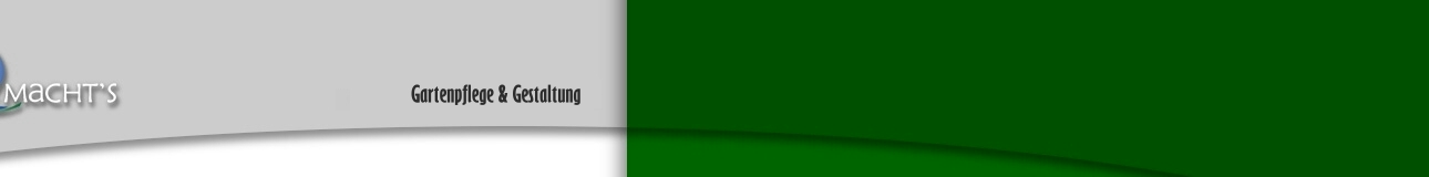 logo3b